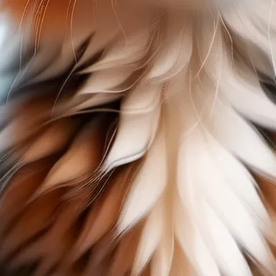 chat with ai character: Pandy