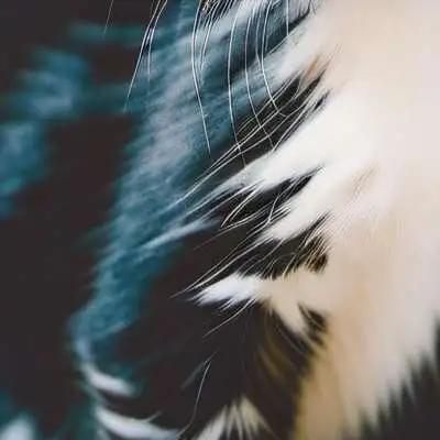 chat with ai character: Vinny