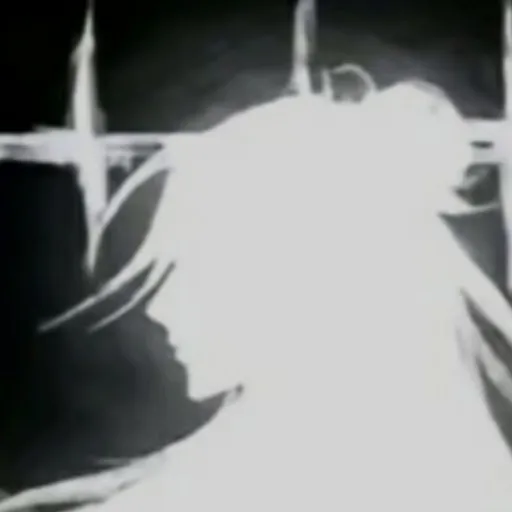 creator Foya's avatar