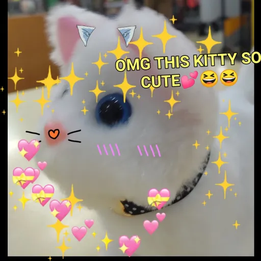 creator Silly Willy Kitty's avatar