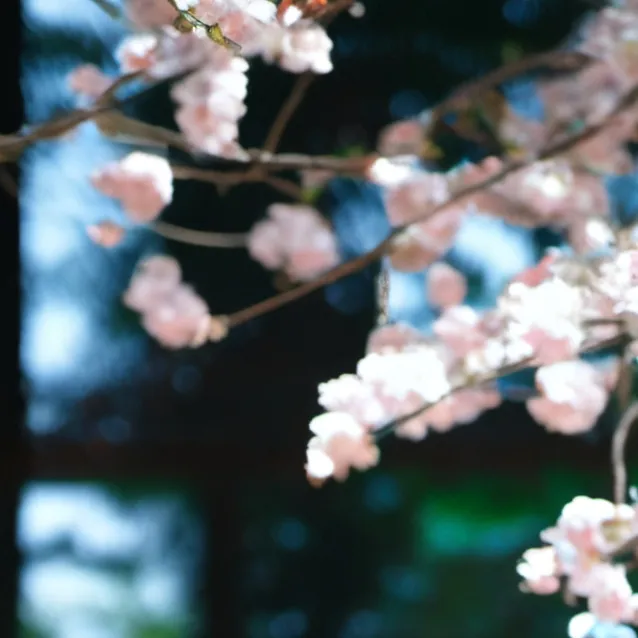 chat with ai character: Lorenz