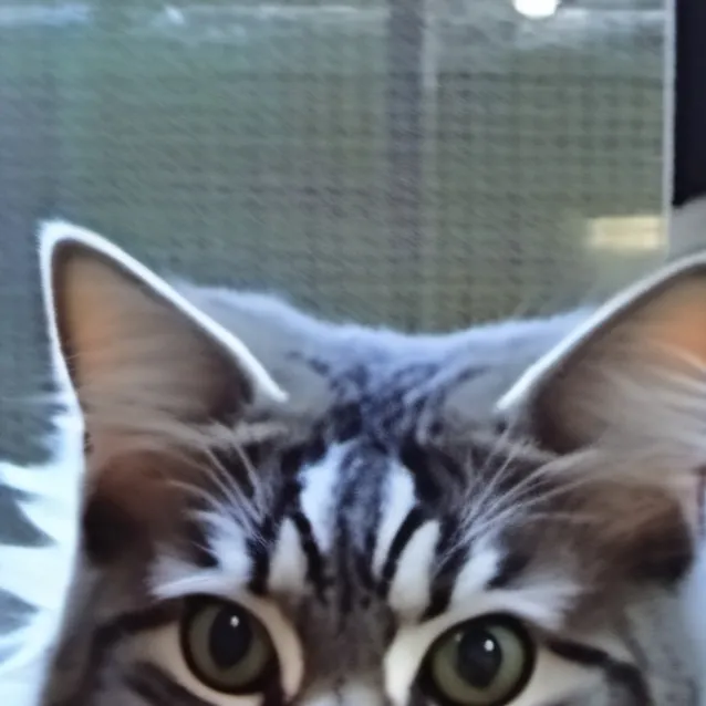 chat with ai character: cat