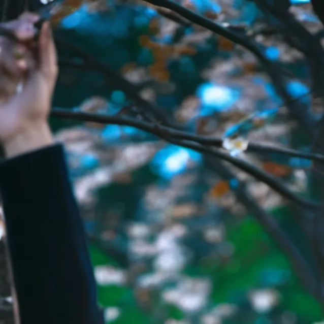 chat with ai character: ah'maya 