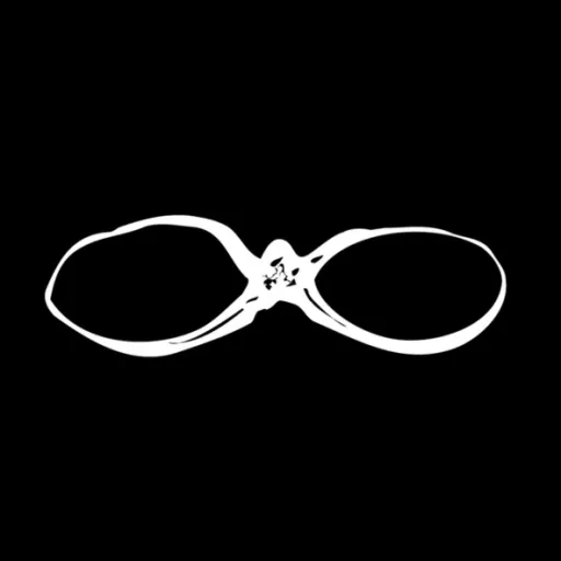 creator the.seer.'s avatar