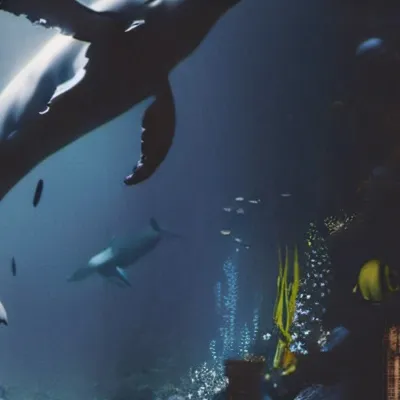 chat with ai character: Sand