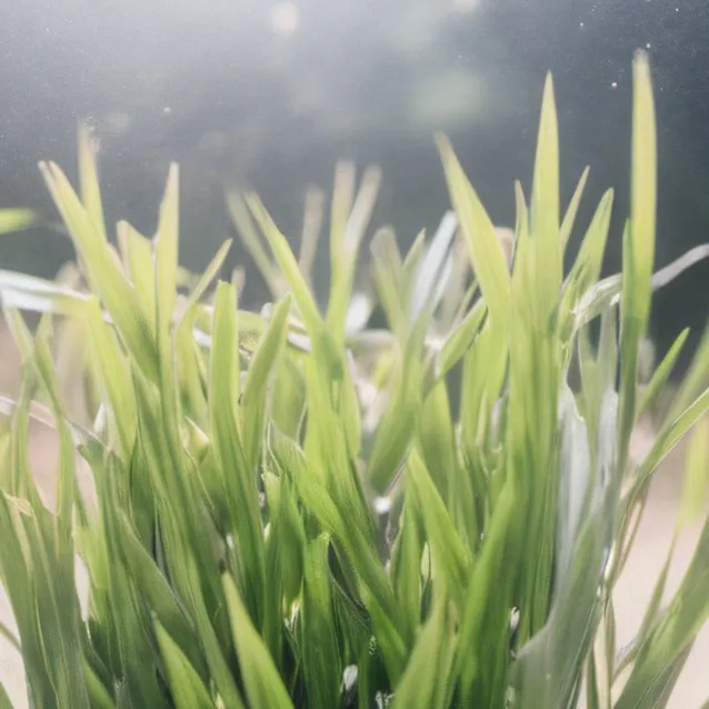 chat with ai character: Grass