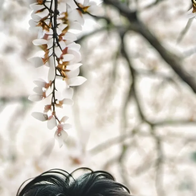 chat with ai character: hogwarts again