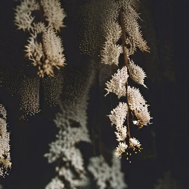 chat with ai character: slytherin