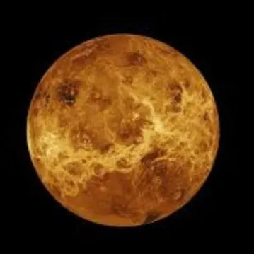 creator CONFESS's avatar