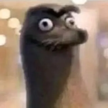 creator Talkior-SOVeTxww's avatar