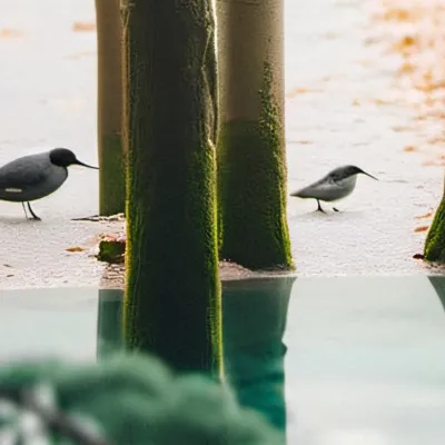 chat with ai character: Diaper