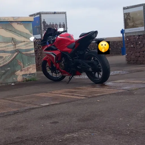 creator Rosa :)'s avatar