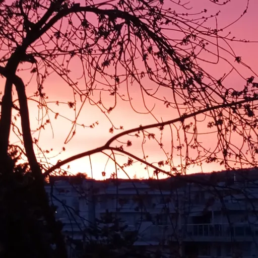 creator Fiona 😁❤️'s avatar