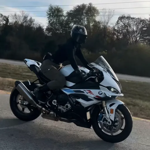 creator Celina🌺🥀's avatar