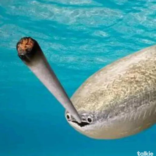 creator gojo69696969696969's avatar