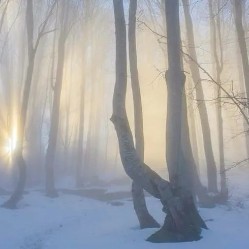 creator ☆RegnumTemporum☆'s avatar