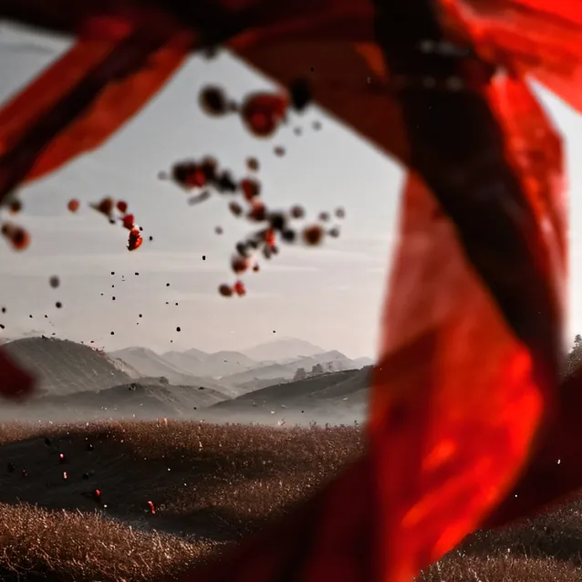 chat with ai character: the motherf**yeah 