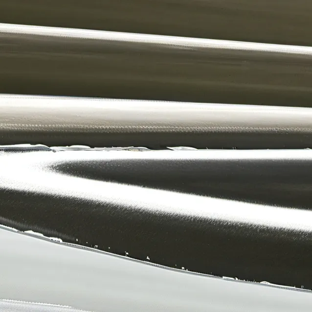 chat with ai character: iisa 