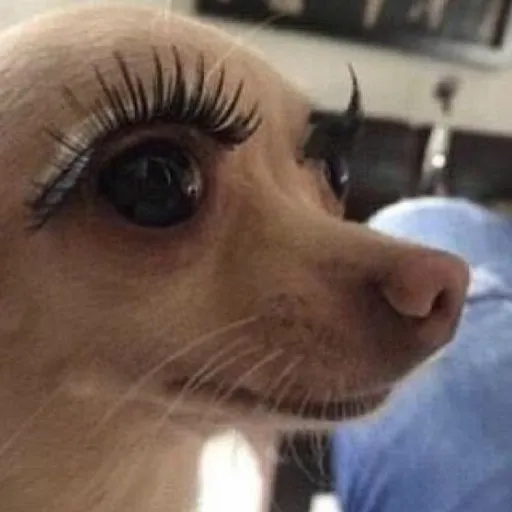 creator Aliiii(-.-)Zzz・・・・'s avatar