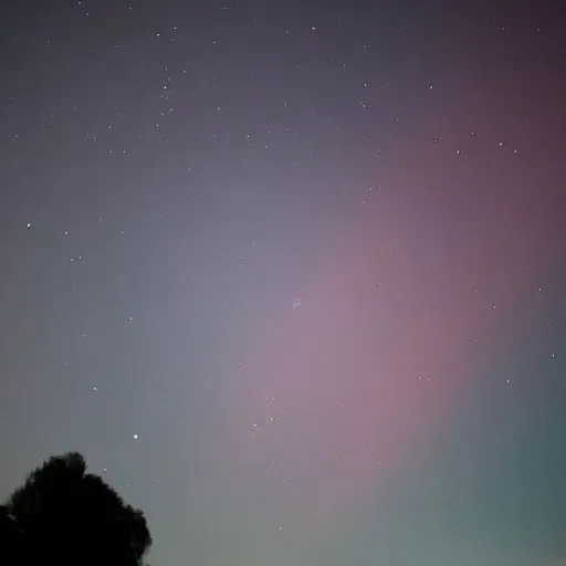 creator Mira ❤️'s avatar