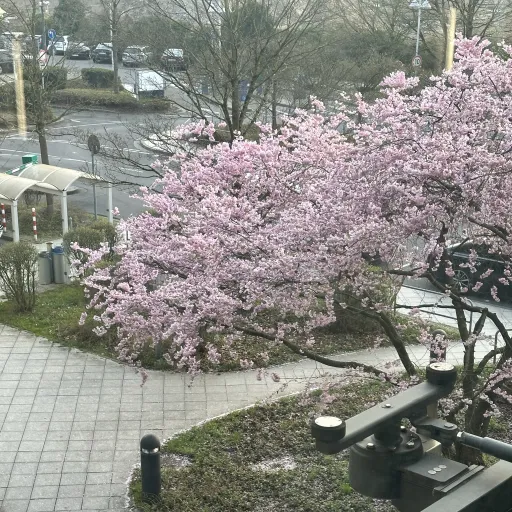 creator DeliaMoon's avatar