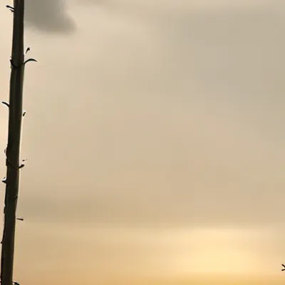 chat with ai character: Weasley twins 👑