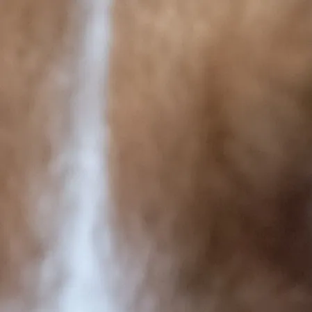 creator fettuccine cookie's avatar