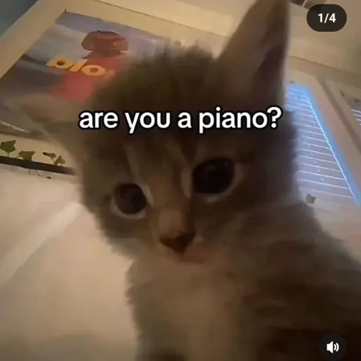 creator pani_sova's avatar