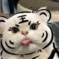 creator Lowers's avatar