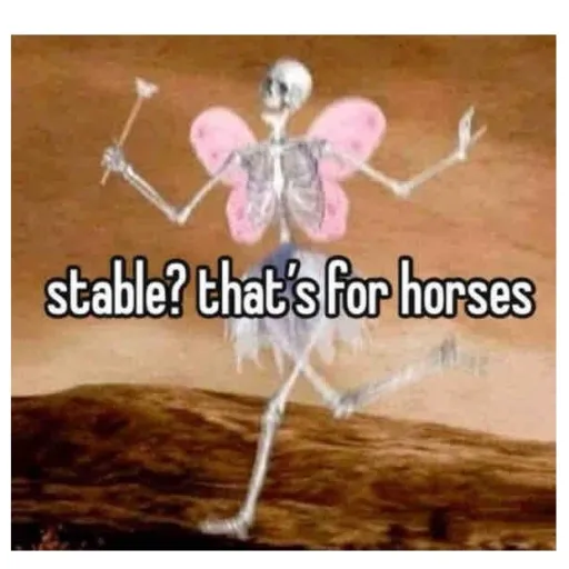 creator ( •з•)'s avatar