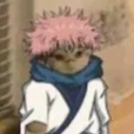 creator sukuna simp...'s avatar