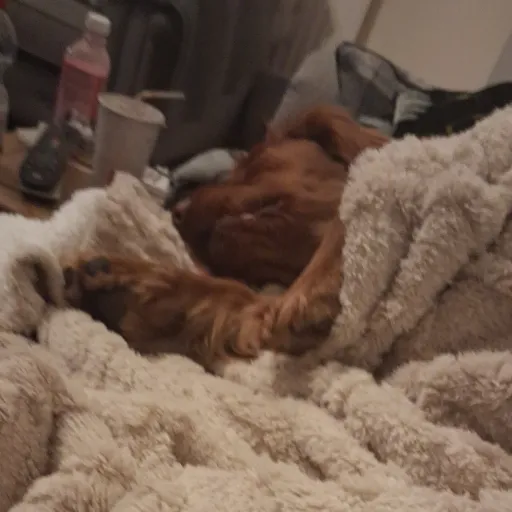 creator Astro gurl's avatar