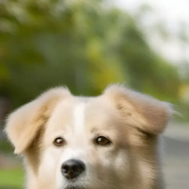 chat with ai character: Rudy