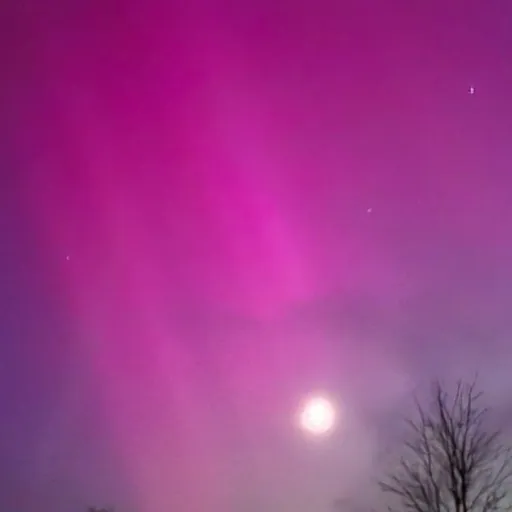 creator lumity_hoo's avatar