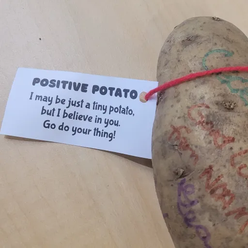 creator aevrx's avatar