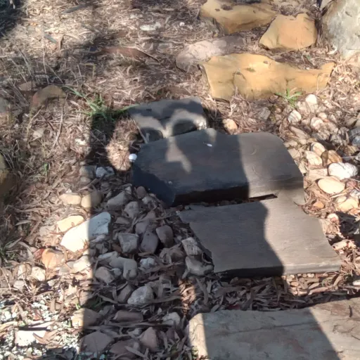 creator That_one_kid.'s avatar