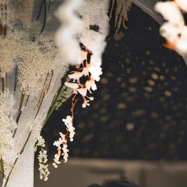 chat with ai character: Xavier