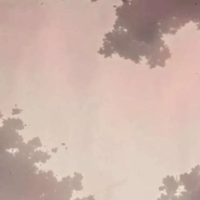 chat with ai character: New student 