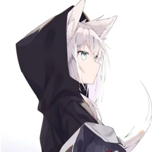 creator akita シ's avatar