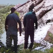 chat with ai character: The Poo Tower!