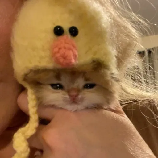 creator Naomi_Nao's avatar