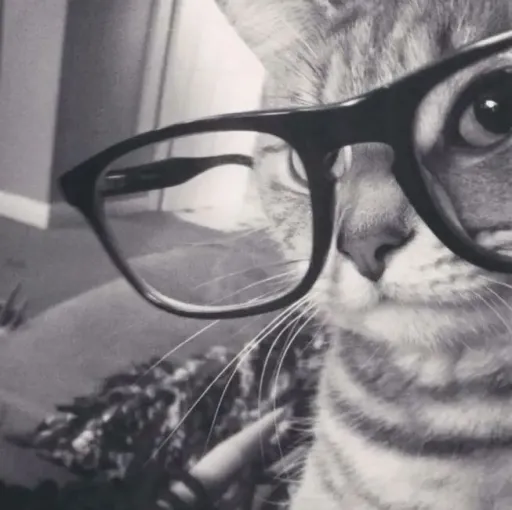 creator Talkior-ECJWQgxF's avatar