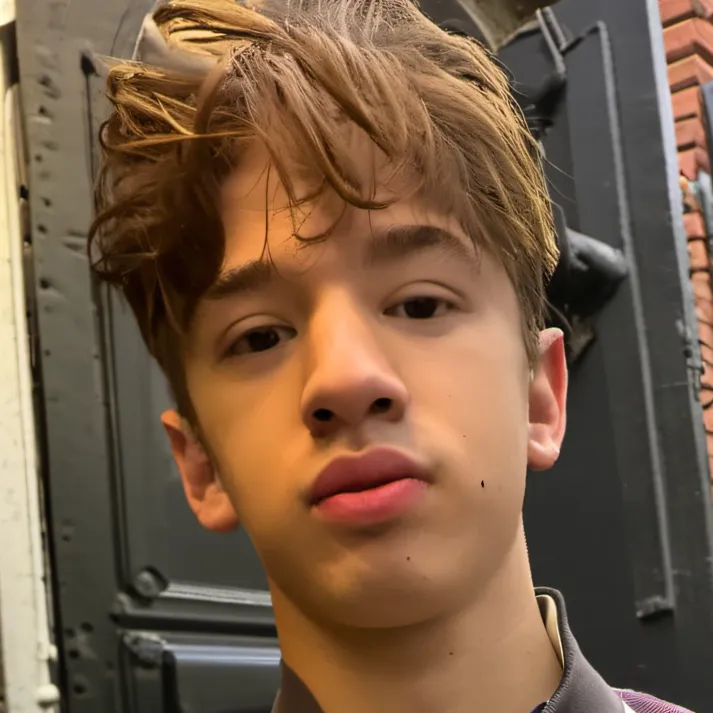 chat with ai character: Sini