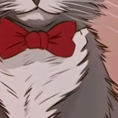 chat with ai character: Husker but cat