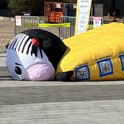 creator miahmosh's avatar