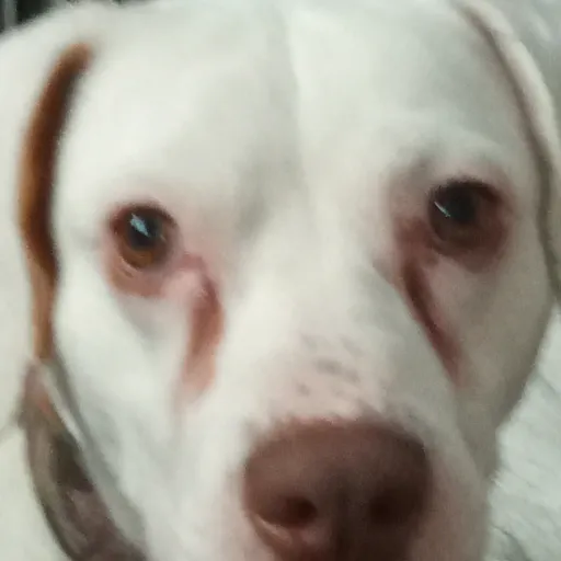 creator Michelle's lilly's avatar