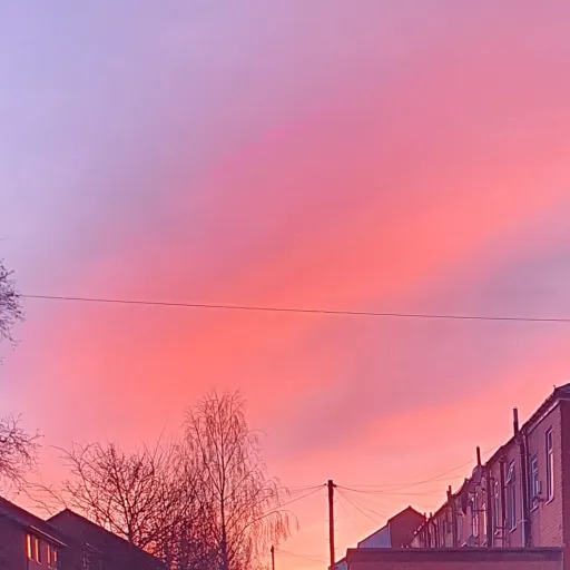 creator XxXIvystarXxX's avatar