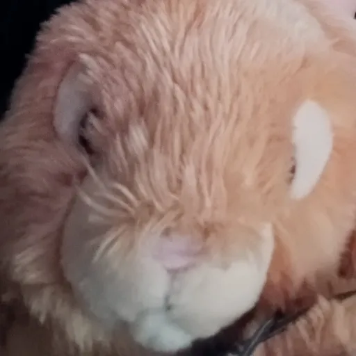 creator •Mary's avatar