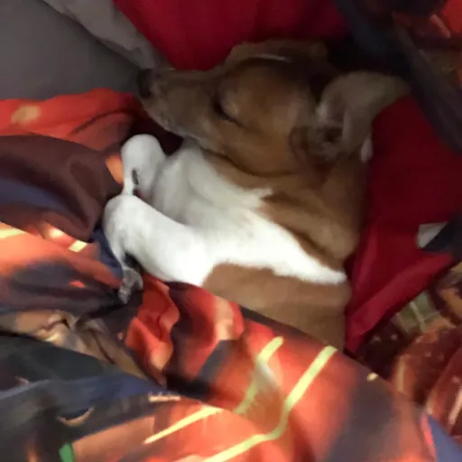 creator Sang woo927's avatar