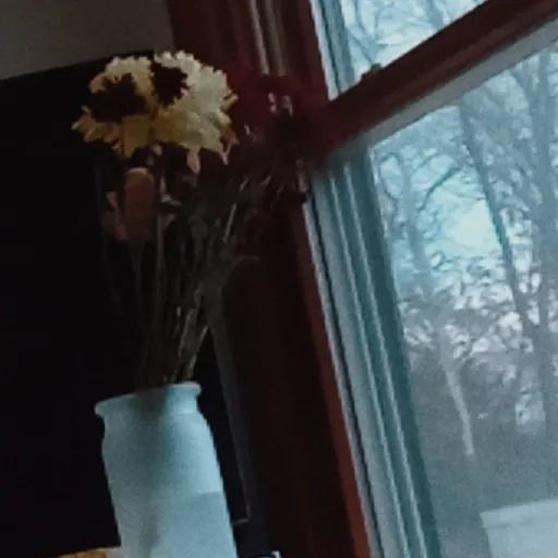 creator hope the pope's avatar